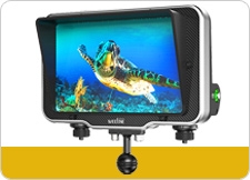 Underwater Monitors
